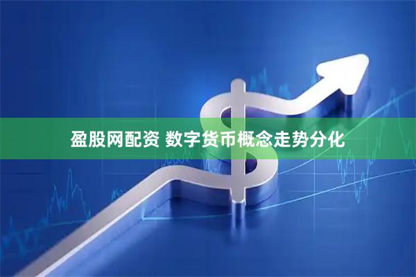 盈股网配资 数字货币概念走势分化